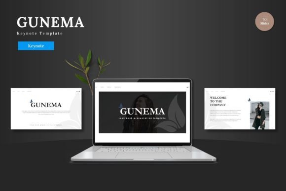 Gunema: A Modern Keynote Template for Dynamic Presentations